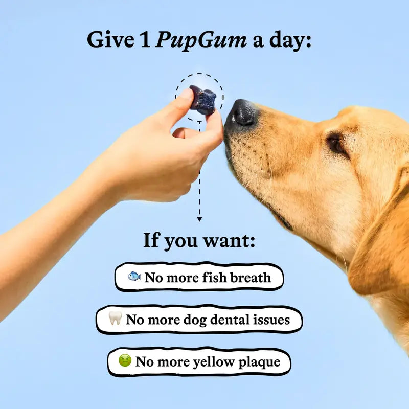 Pupgum Daily Dental Chews for Dogs – Turkey-Flavored Breath Freshening Treats for Comprehensive Oral Care and Healthy Teeth for All Sizes