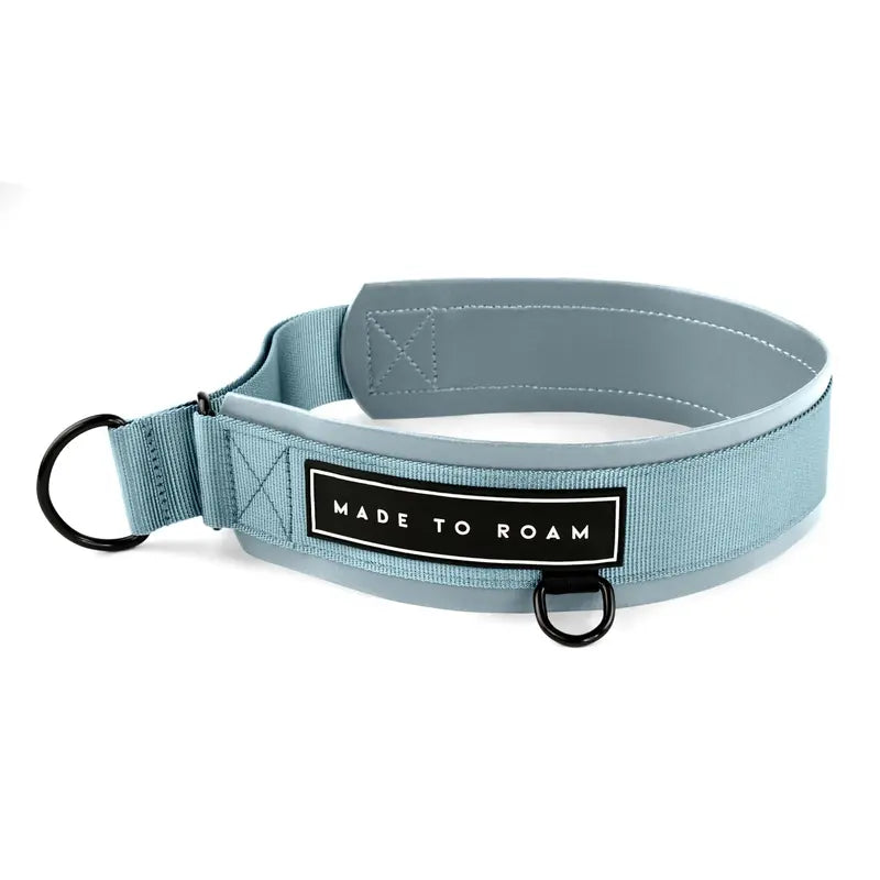 Daily Wear Collar