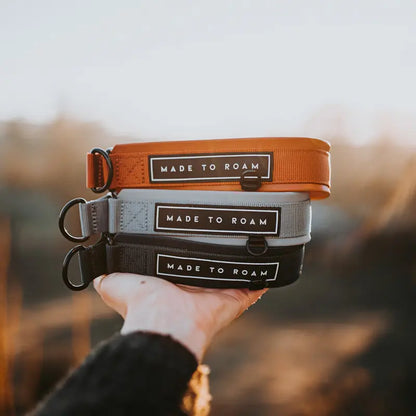 Daily Wear Collar