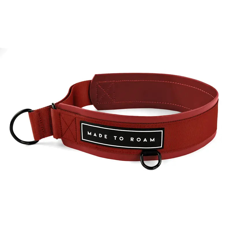 Daily Wear Collar