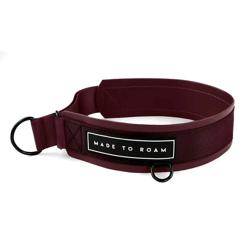 Daily Wear Collar