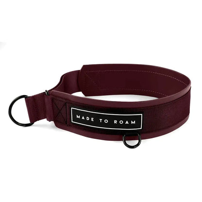 Daily Wear Collar