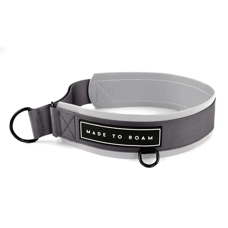 Daily Wear Collar