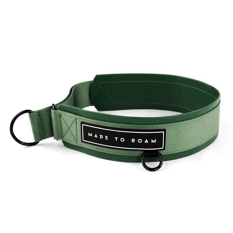 Daily Wear Collar