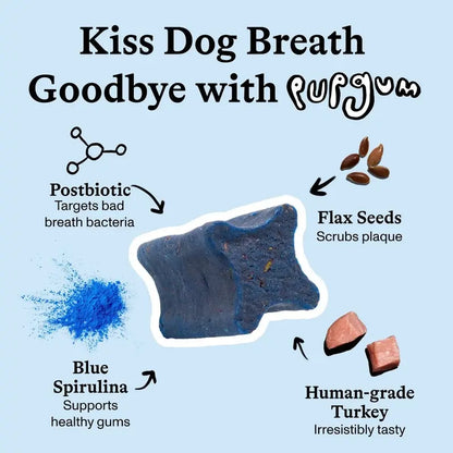 Pupgum Daily Dental Chews for Dogs – Turkey-Flavored Breath Freshening Treats for Comprehensive Oral Care and Healthy Teeth for All Sizes